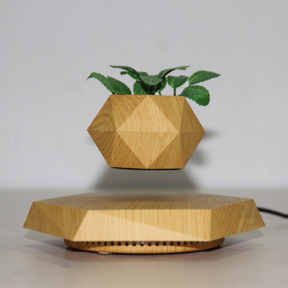 Floating Magnetic Levitating Planter - Creative Bonsai Air Plant Pot for Home & Office Desk Decor - TrendBug