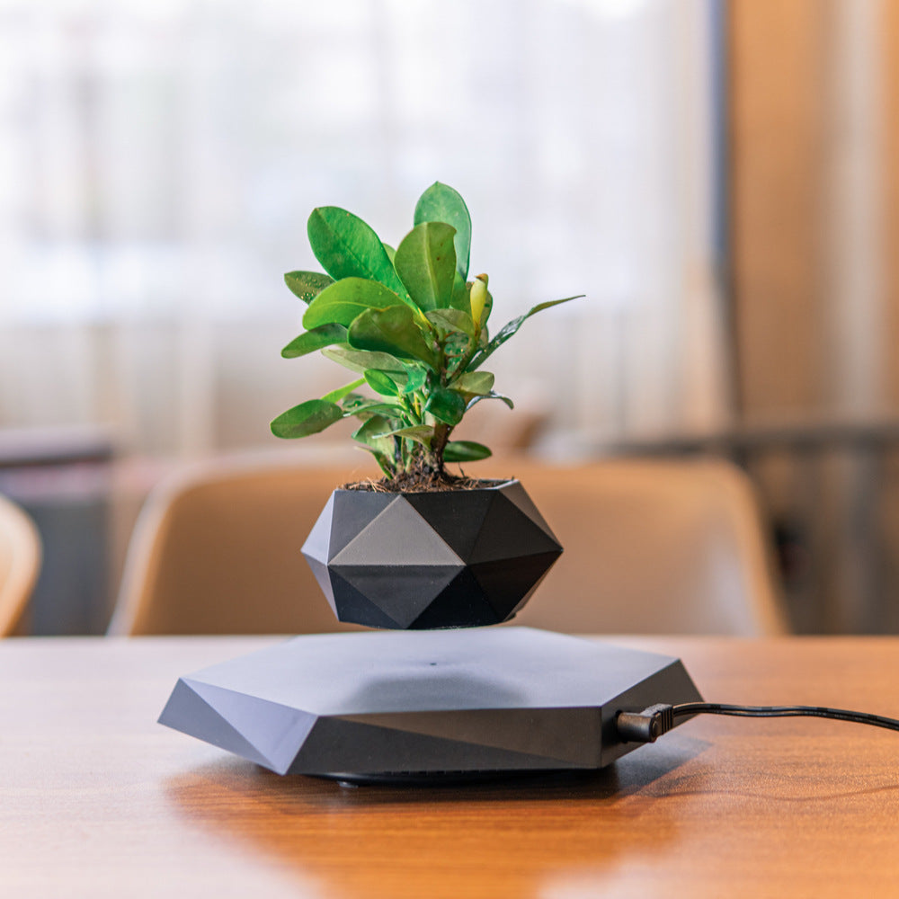 Floating Magnetic Levitating Planter - Creative Bonsai Air Plant Pot for Home & Office Desk Decor - TrendBug