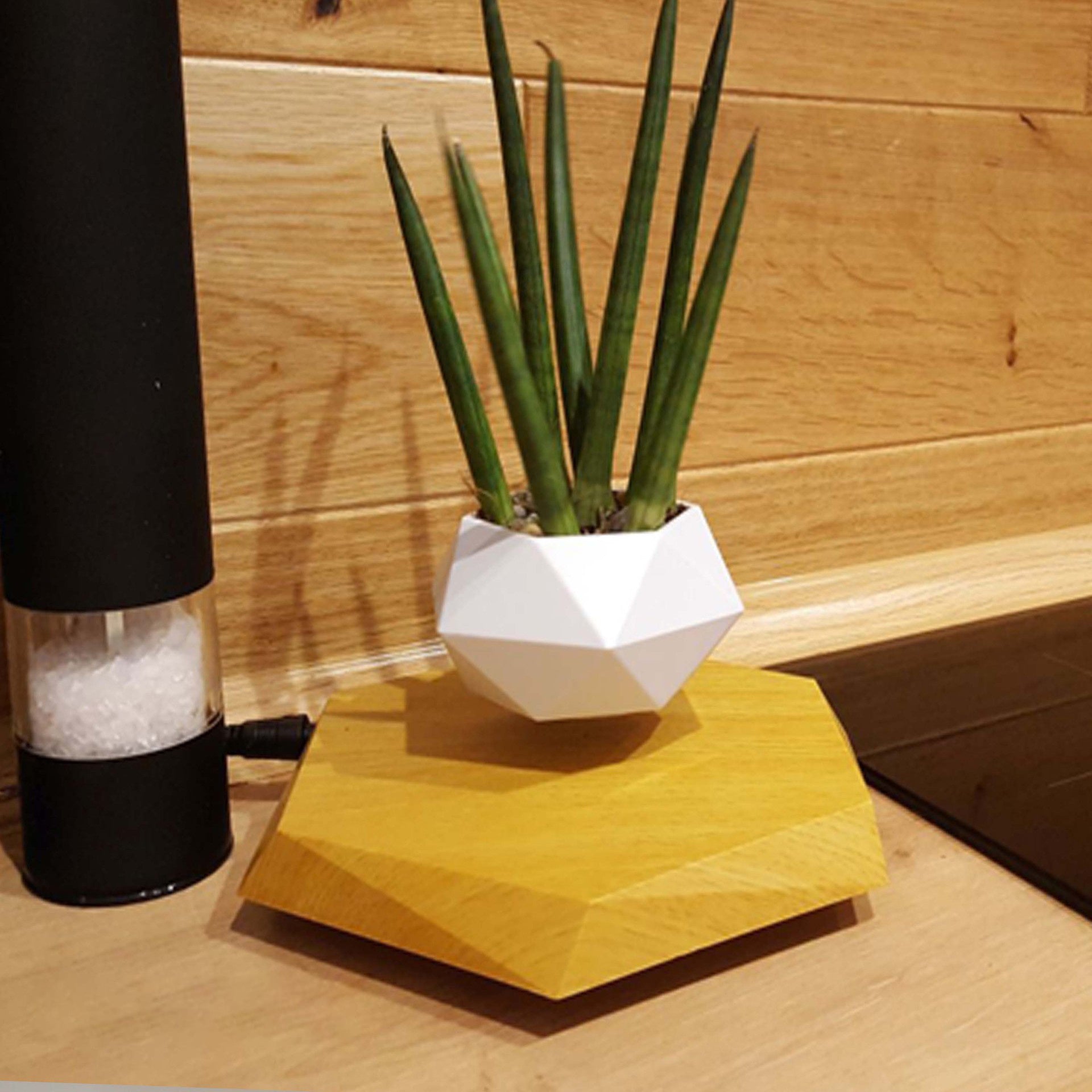 Floating Magnetic Levitating Planter - Creative Bonsai Air Plant Pot for Home & Office Desk Decor - TrendBug