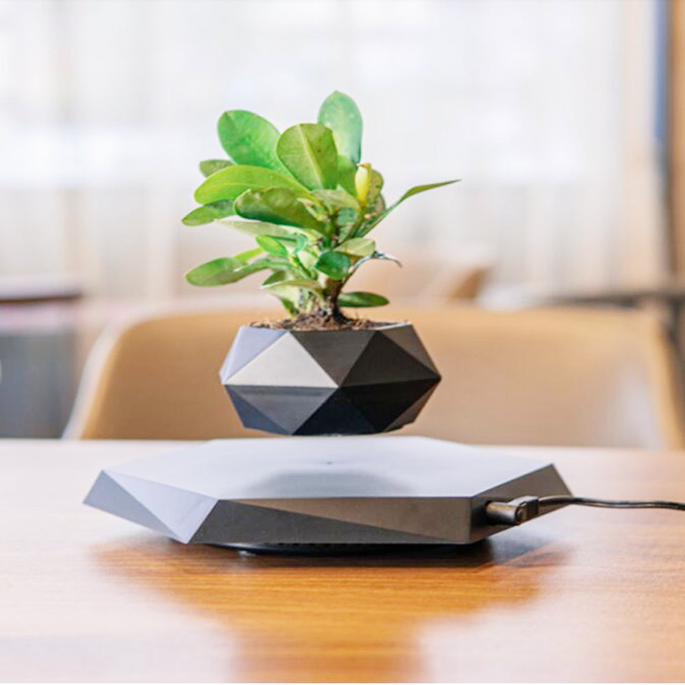 Floating Magnetic Levitating Planter - Creative Bonsai Air Plant Pot for Home & Office Desk Decor - TrendBug