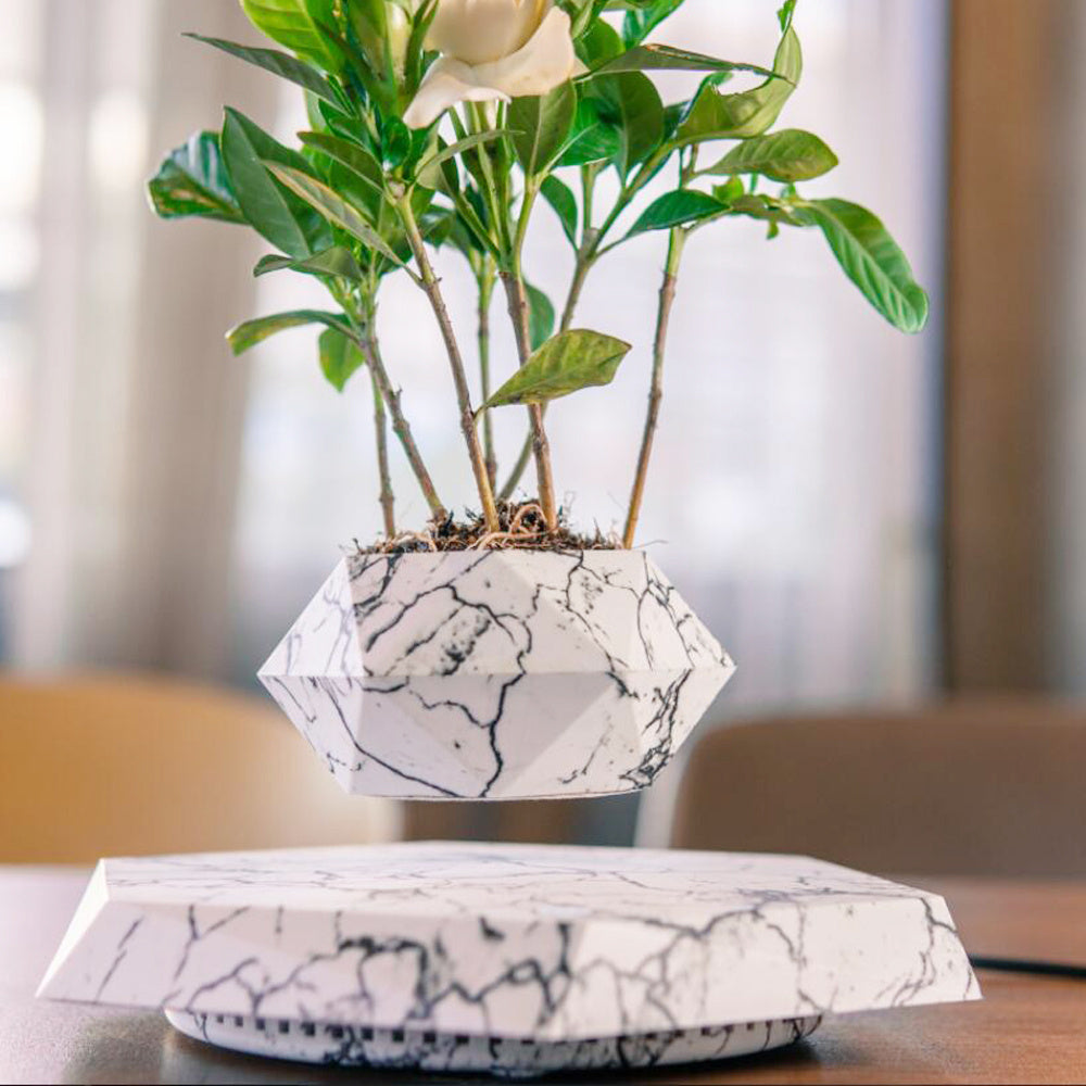Floating Magnetic Levitating Planter - Creative Bonsai Air Plant Pot for Home & Office Desk Decor - TrendBug