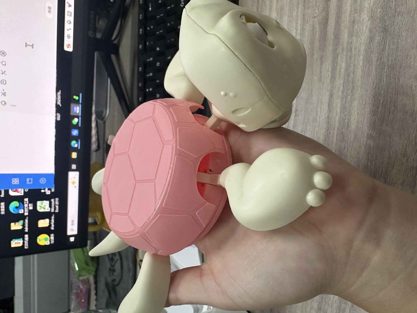 New Fashion Creative Personality Turtle Coaster