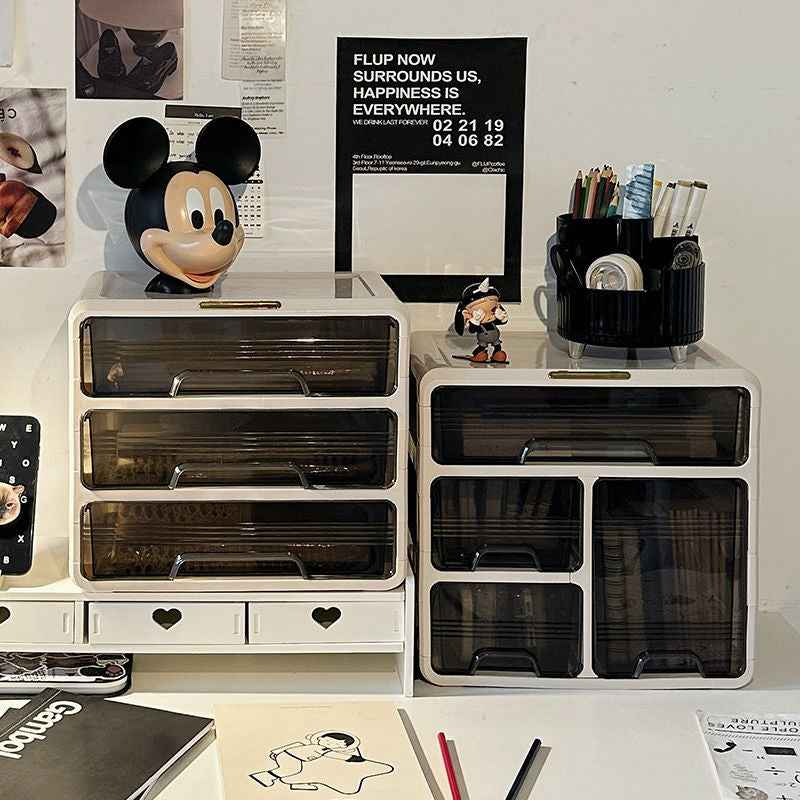 Student Stationery Desk Organizer