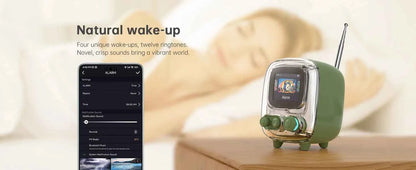 Divoom T-tiivoo-2 Mini Retro White Noise Bluetooth Speaker Portable Vintage Sleep Aid Bluetooth Speaker high quality Subwoofer